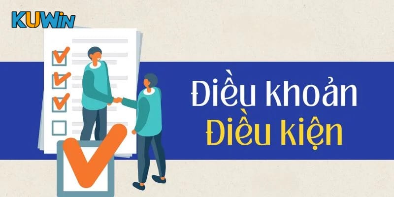 Người dùng có những nghĩa vụ gì?